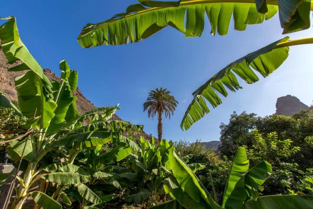 Vivienda Vacacional La Finca Los Palmitos Bagian luar foto